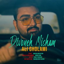 دانلود آهنگ جدید علی غلامی به نام دیوونه میشم